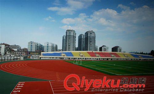 運動跑道 優質卷材地墊運動跑道 運動場幼兒園學校場地運動跑道