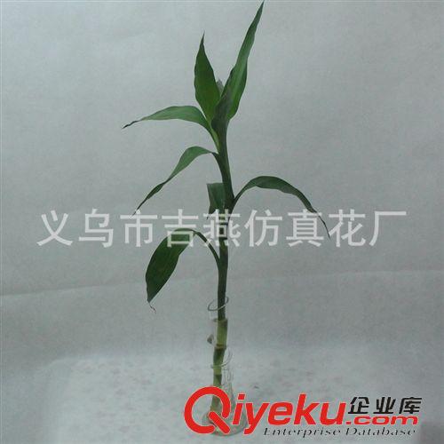 花盆 花盆 包裝 25cm高玻璃繞絲小花瓶 現(xiàn)代簡(jiǎn)約單枝富貴竹經(jīng)典水晶花瓶小額批發(fā)