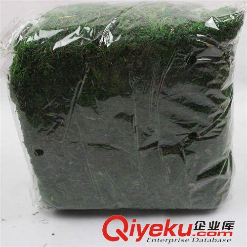 材料 配件 系列 供應仿真花裝飾材料干苔蘚 900克一袋 盆景插花仿真苔蘚現(xiàn)貨批發(fā)原始圖片2