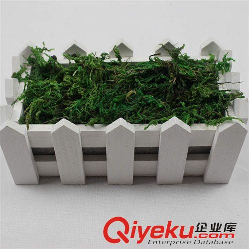 材料 配件 系列 供應仿真花裝飾材料干苔蘚 900克一袋 盆景插花仿真苔蘚現(xiàn)貨批發(fā)原始圖片3