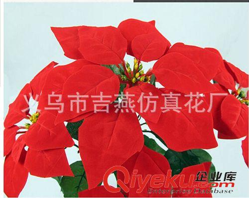 圣誕花 義烏吉燕花廠7頭絨布圣誕紅 22cm直徑一品紅會(huì)議擺放現(xiàn)貨tj批發(fā)