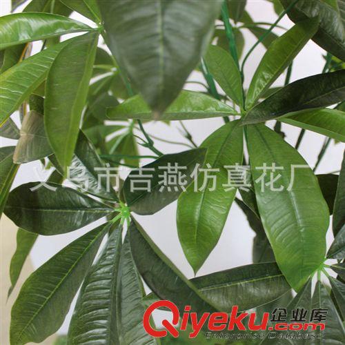 仿真大植物 大盆景 1.6米大辮子發(fā)財樹 吉燕仿真植物廠定做酒店綠色植物 各類大樹