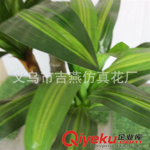 仿真大植物 大盆景 吉燕仿真羅漢樹 1.6米黃心巴西大葉 定做酒店大堂裝潢2-4米大植物