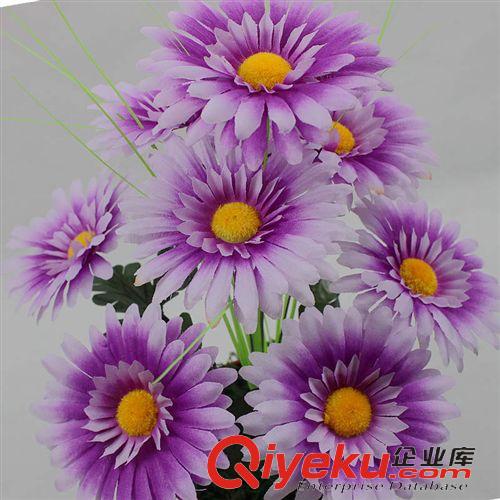 混批專區(qū) 9頭胡南菊 清明花祭祀花墳頭花 便宜花絹花菊花洋甘菊花原始圖片2