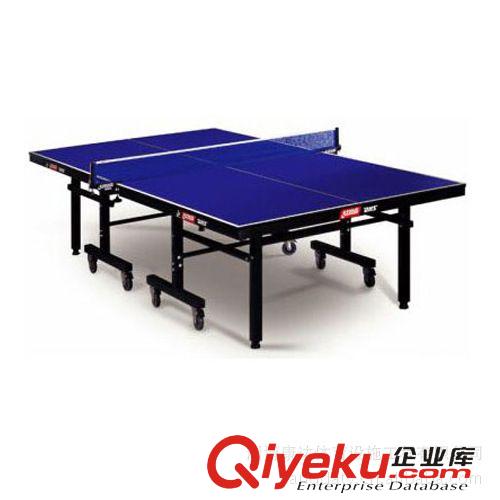 乒乓球臺(tái)系列 （廠家tg）乒乓球臺(tái) 紅雙喜乒乓球臺(tái) 室外乒乓球臺(tái)（均有現(xiàn)貨）原始圖片2