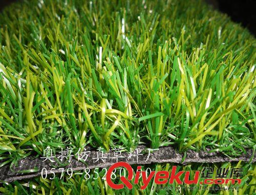 人造草坪草高25MM 【廠家直銷】供應(yīng) 運(yùn)動(dòng) 休閑 足球草坪  MYD3-1325