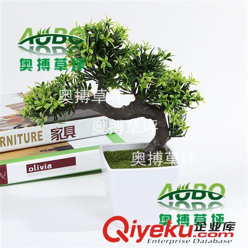 塑料小盆景 仿真植物盆栽小樹 假花塑料盆景桌面綠植 客廳擺放裝飾