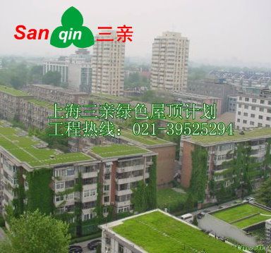 人工草坪地毯 學(xué)校仿tr草坪  屋頂花園草坪 耐風(fēng)化性能好