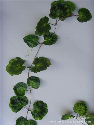 仿真樹葉、葉藤、花蓮系列 熱銷仿真葉藤 gd仿真海棠葉 仿真藤條壁掛 綠色植物藤蔓裝飾原始圖片2