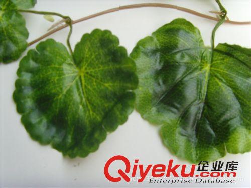 仿真樹葉、葉藤、花蓮系列 熱銷仿真葉藤 gd仿真海棠葉 仿真藤條壁掛 綠色植物藤蔓裝飾原始圖片3