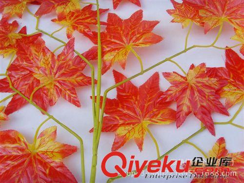 仿真樹葉、葉藤、花蓮系列 大量批發(fā)仿真紅楓葉 仿真楓葉 楓樹葉 樹葉 仿真樹葉 實(shí)體店熱銷原始圖片3