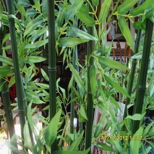 仿真竹子 大量批發(fā)仿真竹子 假竹子 gd仿真竹子 加工仿真竹子 竹子產(chǎn)品