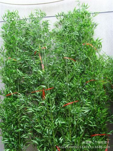 仿真竹子 熱銷仿真竹子 gd多葉真枝真桿竹 假竹子 訂做各種規格景觀竹子原始圖片3