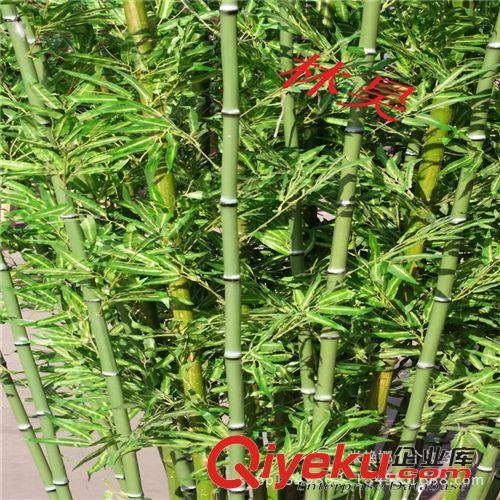 仿真竹子 供應仿真竹子 大葉人造竹子 仿真富貴竹  園林工程背景制作仿真竹原始圖片2