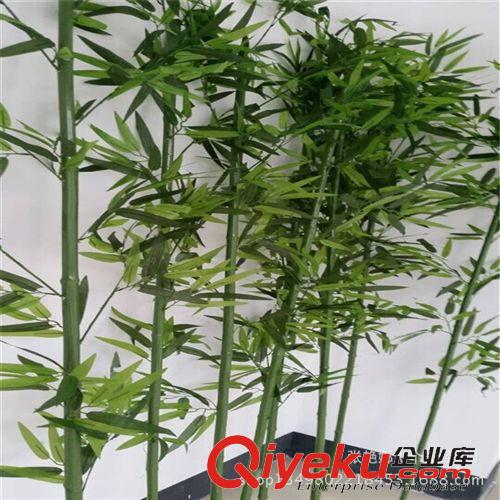 仿真竹子 批發仿真竹子 富貴竹 景觀竹子 假竹子不褪色無異味 各規格可定做原始圖片3
