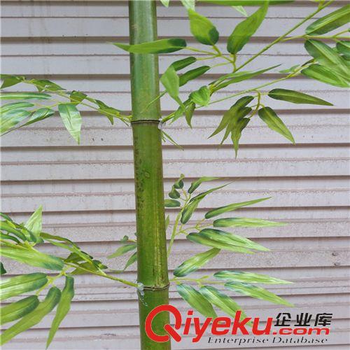 仿真竹子 仿真竹子 金色富貴竹 銀色假竹子  金銀色仿真竹子 各種規(guī)格可訂