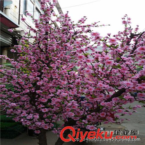 大型仿真植物樹 批發(fā)仿真梅花樹 仿真桃花樹 仿真桃花枝 景觀植物樹 可以加工原始圖片3