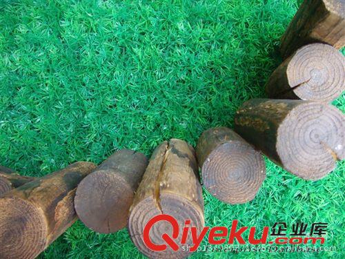 草坪護(hù)欄、花藝圍欄、柵欄 大量供應(yīng)塑料圍欄 花藝柵欄  園林圍欄 園藝圍欄 柵欄  花草圍欄