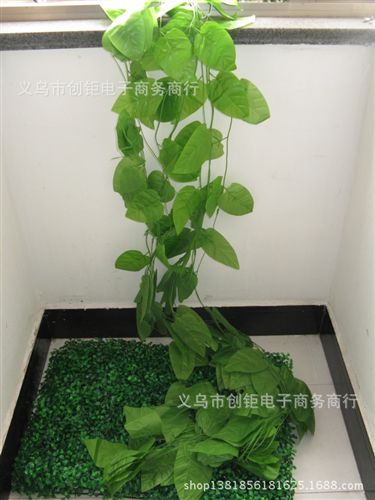 仿真藤條 仿真蘋果葉藤條假葉子塑料藤條吊頂裝飾大葉子加密藤條2.4米葉藤原始圖片2