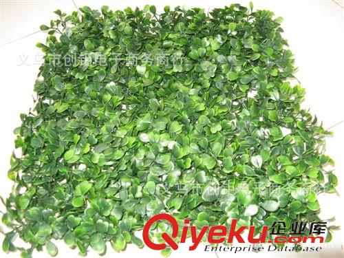 草坪 仿真米蘭草坪 塑料草坪 仿真植物墻 加密草皮 豆瓣草坪裝飾批發(fā)