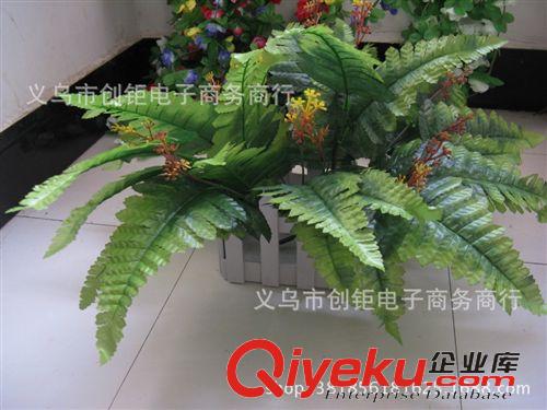 柵欄盒/片/手把花 仿真波絲樹(shù)野生盆栽盆景多叉帶花加密小樹(shù)圣誕新年植物批發(fā)廠家原始圖片2