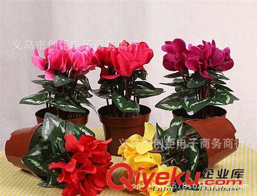 柵欄盒/片/手把花 仿真仙客來 節(jié)慶盆花 盆景 小盆栽 開業(yè)慶典花 盆景植物原始圖片3