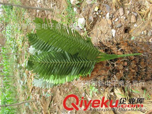 柵欄盒/片/手把花 仿真小樹植物野生草工程裝飾園林綠化仿真撅樹義烏工廠批發(fā)小盆栽原始圖片3