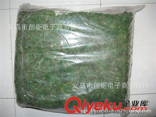 其它 活苔蘚干苔蘚鮮苔蘚苔蘚微景觀永生苔蘚裝飾工程苔蘚植物仿真苔蘚原始圖片3