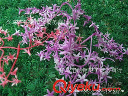 其它 塑料星星草坪粘花小星星塑料小紫花草皮裝飾小花廠家批發(fā)帶花草坪