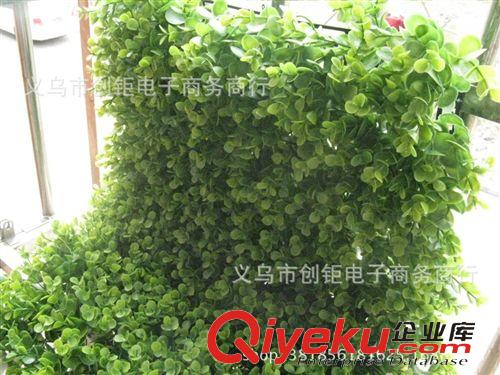 其它 仿真水草魚缸裝飾漁草散草塑料尤加利草綠多葉加密有加利廠家批發原始圖片3