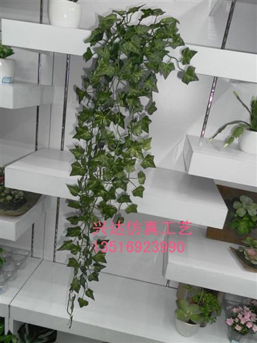 仿真植物 仿真植物 仿真葉藤 仿真壁掛原始圖片3