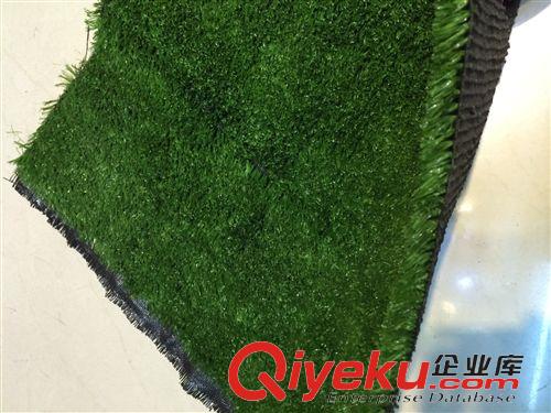 仿真植物 興達人造仿真草坪 幼兒園 景觀 庭院工程草坪 25針15mm加密地毯草