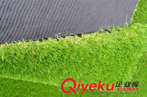 仿真植物 興達人造仿真草坪 運動休閑 景觀 操場 庭院 工程 20mm足球場草坪