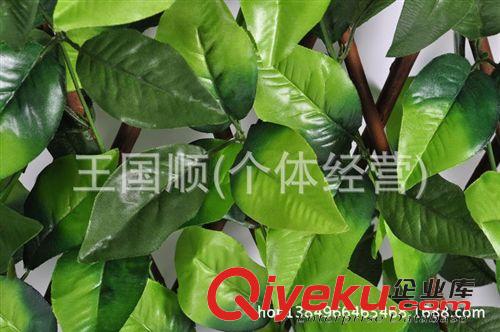 柵欄 廠家直銷供應小葉加密仿真葉籬笆 仿真柵欄 塑料仿真植物原始圖片2