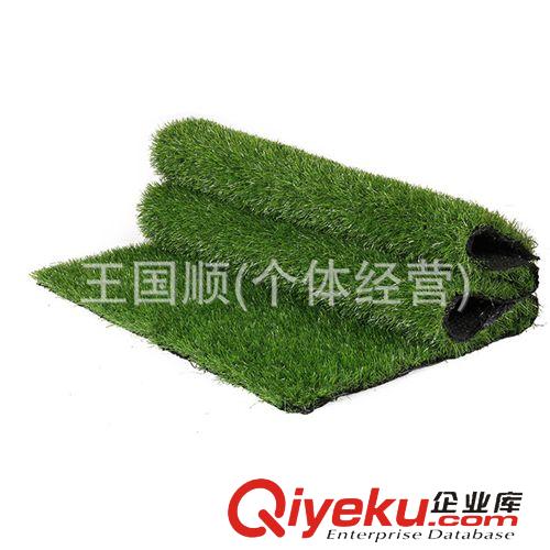 柵欄 廠家直銷供應小葉加密仿真葉籬笆 仿真柵欄 塑料仿真植物