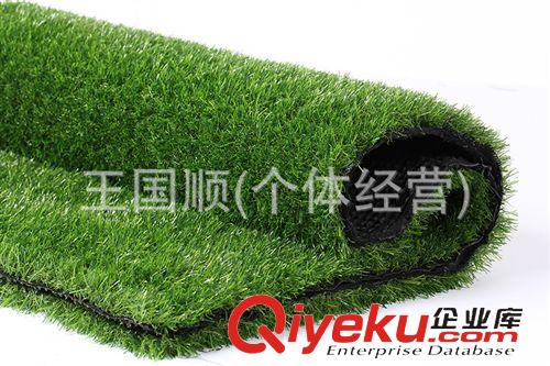 運動草坪 加密仿真草坪塑料陽臺假草皮幼兒園人造草坪草坪地毯 地毯原始圖片2