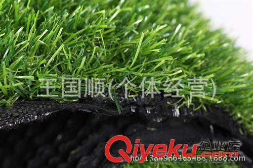 運動草坪 加密仿真草坪塑料陽臺假草皮幼兒園人造草坪草坪地毯 地毯原始圖片3