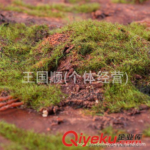 運動草坪 加密仿真草坪塑料陽臺假草皮幼兒園人造草坪草坪地毯 地毯