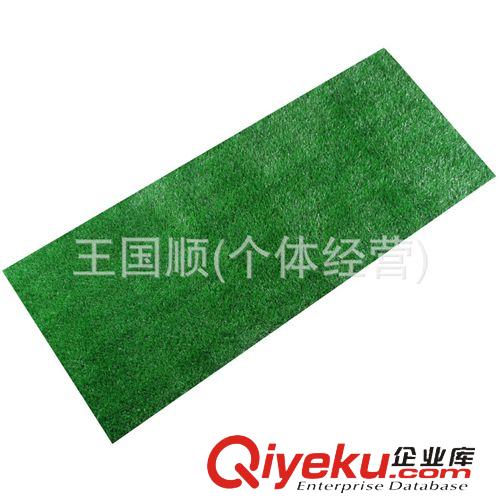 運動草坪 直銷人造草坪地毯gf真tr草坪支持零單混批塑料草坪綠化裝飾原始圖片3