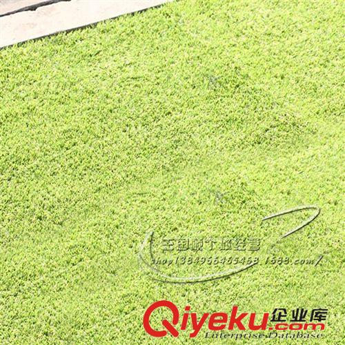 運動草坪 gf真人造草坪地毯批發/四色草鋪滿地 2.0cm長草幼兒園草坪原始圖片2