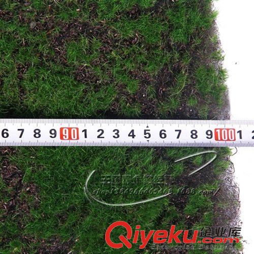 運動草坪 廠家直銷 海綿植毛草坪 假草皮草坪 gf人造草坪  造景裝飾草坪原始圖片3