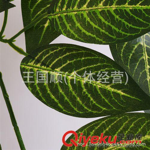 仿真植物 熱銷(xiāo)gd仿真植物 過(guò)膠手感榕葉子 假樹(shù)葉 gf真塑膠園林裝飾原始圖片2