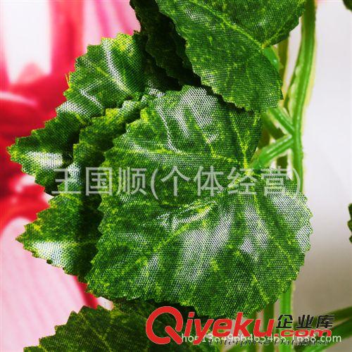 藤條 廠家直銷仿真花葡萄葉裝飾假花藤蔓塑料綠葉帶細鐵絲葡萄葉子原始圖片3