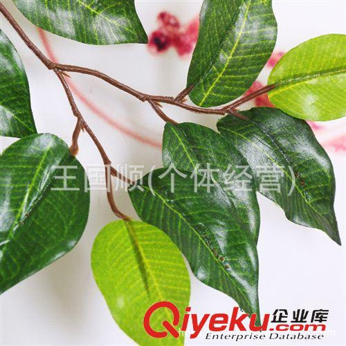 仿真植物 廠家直銷仿真樹葉批發(fā) 假樹葉絹布榕樹葉裝飾 仿真綠色榕樹葉榕樹原始圖片2