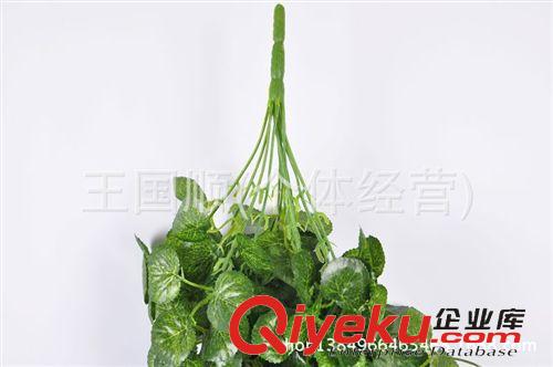 仿真植物 供應(yīng)仿真藤條批發(fā)小葉藤蔓圓葉子壁掛藤串藤綠色植物植物批發(fā)原始圖片2