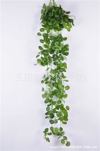 仿真植物 供應(yīng)仿真藤條批發(fā)小葉藤蔓圓葉子壁掛藤串藤綠色植物植物批發(fā)原始圖片3