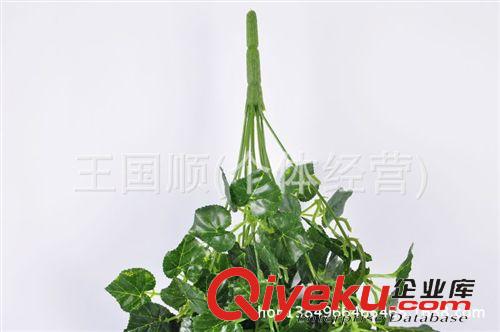 仿真植物 仿真植物 仿真花假花藤條綠葉把束 圣誕元旦裝飾 批發 廠家直銷原始圖片3