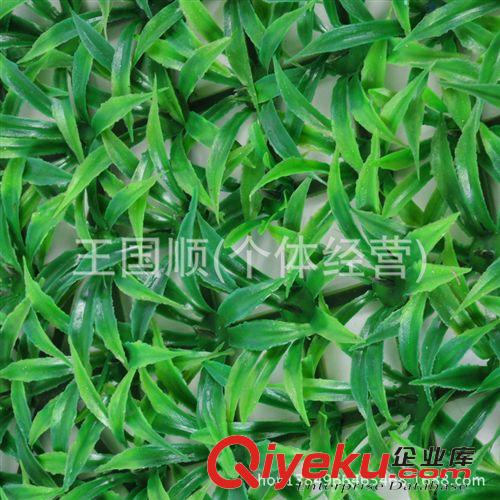 塑料草坪 20MM加密仿真草坪塑料陽臺假草皮 人造草坪草坪地毯 供應地毯原始圖片3