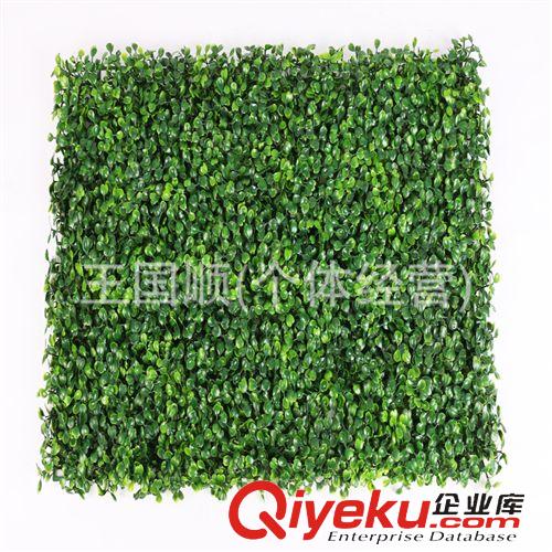 塑料草坪 仿真草坪裝飾地毯塑料假草人造草坪草皮帶 義烏