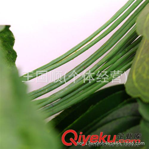 壁掛 直銷室內裝飾 掛壁仿真常青藤蔓假樹葉 綠葉裝飾墻壁裝飾藤蔓批發原始圖片3